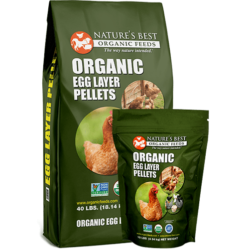 Best Organic Feeds